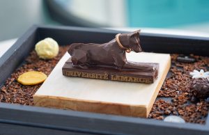 No Ordinary Check-In: Signature Amenities to Elevate the Arrival Experience