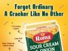 Roma Sour Cream & Onion Cracker is a multilayered marvel