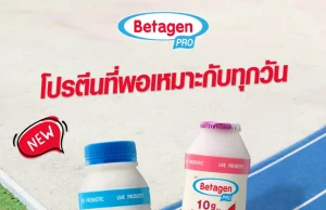 Betagen enters high-protein market with lactose-free, sugar-free probiotic drink