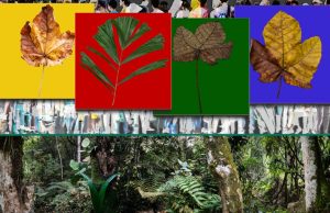 Nature in Exile 2.0 – a compelling and evocative solo exhibition by French digital artist Francois Bancon