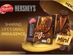 F&N MAGNOLIA HERSHEY’S unveil Mini ice cream sticks and cones for delightful bite-sized indulgence