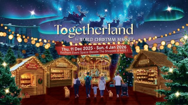 World Christmas Market 2025 - Togetherland - KV