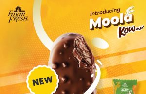 Moola Kaw Ice Cream debuts at 99 Speedmart as Farm Fresh bets on ice cream