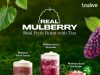 Real fruit burst with tea with Tealive latest Real Mulberry series