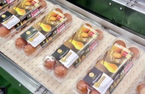 CP Foods Egg Farm Turns Waste into Energy, Pioneering Sustainable Food Production Model