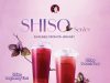 Beutea unveils limited-time Shiso series in Malaysia