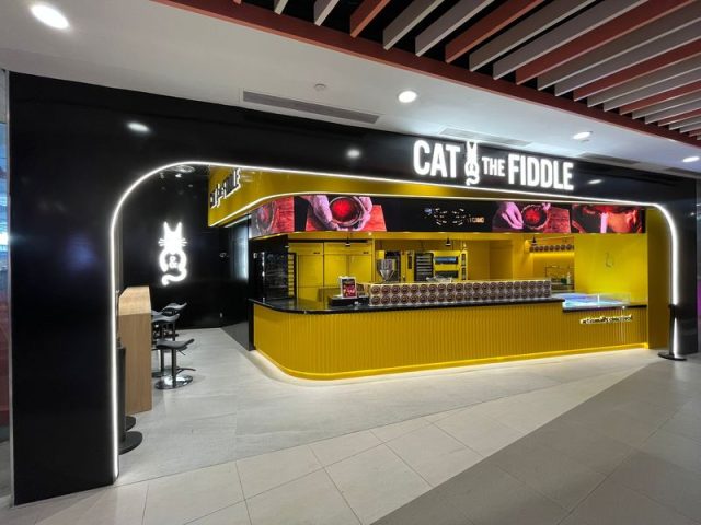 cat fiddle sg tampines