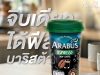 Dutch Mill expands Arabus range with new 180ml chilled cup and freeze‑dried black coffee innovation