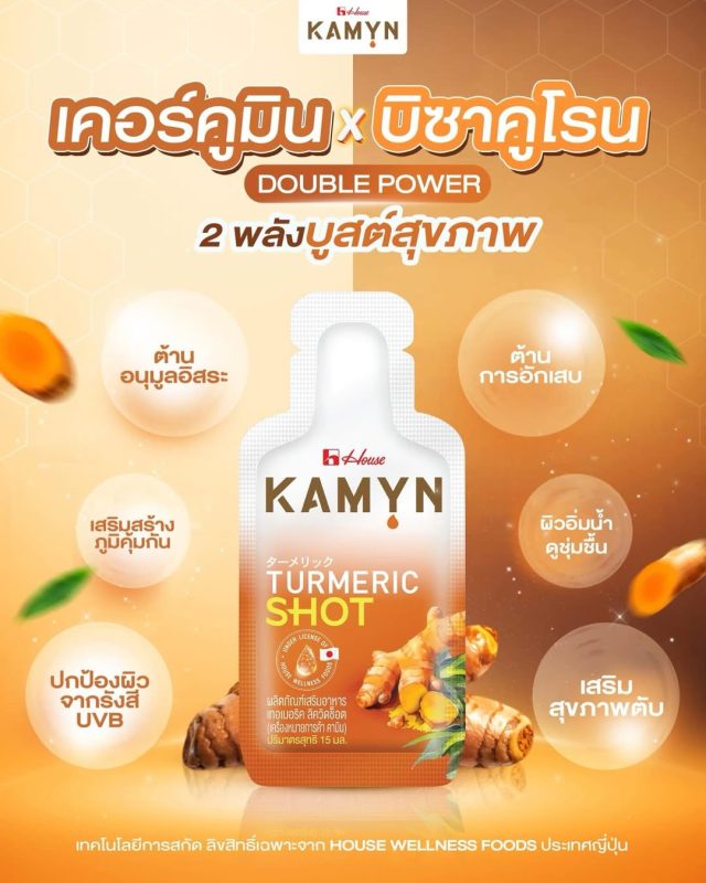 kamyn house