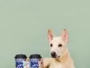 Chagee brews compassion with every cup for pet parents and animal lovers