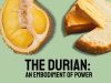 The Durian: An Embodiment of Power. French and Malaysian Cross-Cultural Perspectives