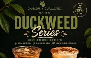 Cup.A.Cino launches duckweed series with Zanadu