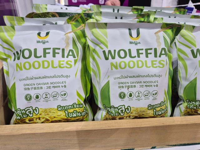 uwolffia