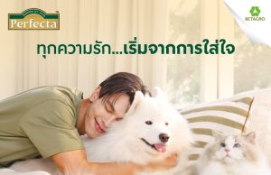 Betagro Unveils ‘Tre – Porapat’ as First ‘Friend of Perfecta,’ Solidifying Brand as Premium Pet Nutrition for Smart Pet Parents