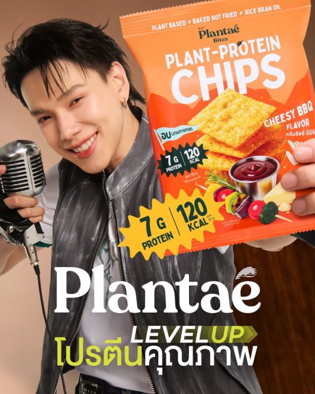 plantae chips 1
