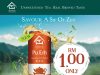 Coca-Cola expands Authentic Tea House as demand for unsweetened tea grows